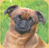 Ich bin Betty